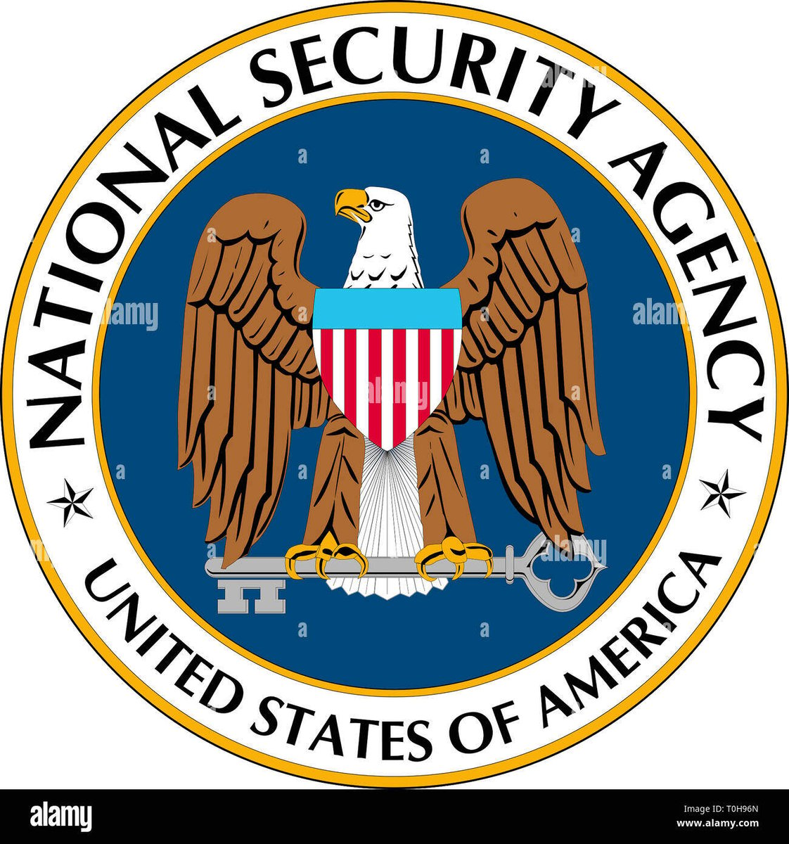 seal-of-the-national-security-agency-nsa-of-the-united-states-of-america-with-seat-in-crypto-city-usa-T0H96N